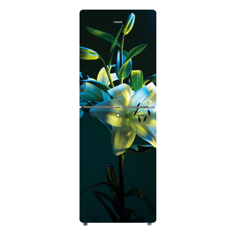 Toshin 242L Top Mount Refrigerator TM242GDWO White Orchids thumbnail