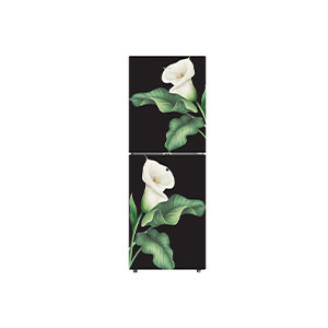 Toshin 222L Top Mount Refrigerator TM-222 GDWL White Lily